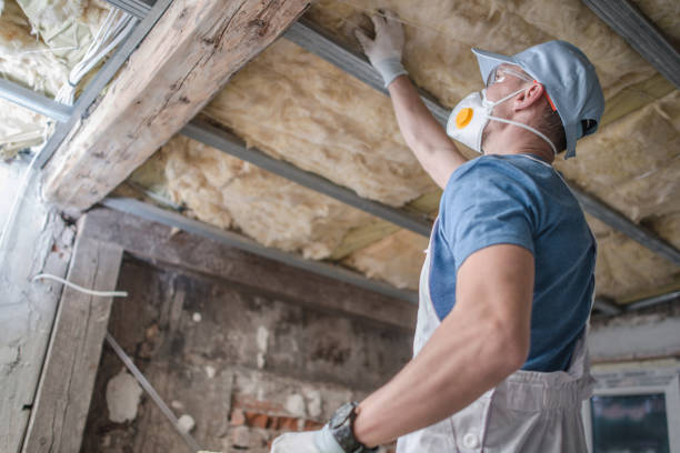 Best DIY Insulation Kits and Guidance in Lake Royale, NC