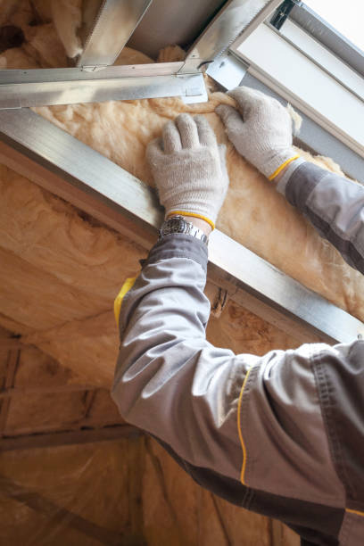 Best Geographic-Specific Insulation Services in Lake Royale, NC
