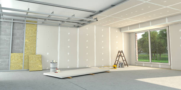 Best Cellulose Insulation in Lake Royale, NC