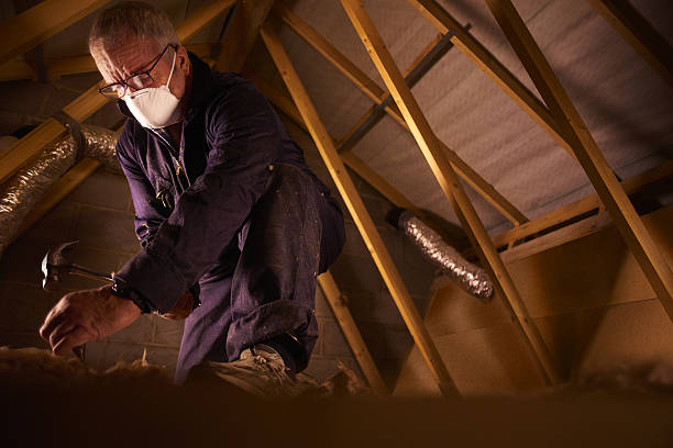 Best Specialized Insulation Services in Lake Royale, NC